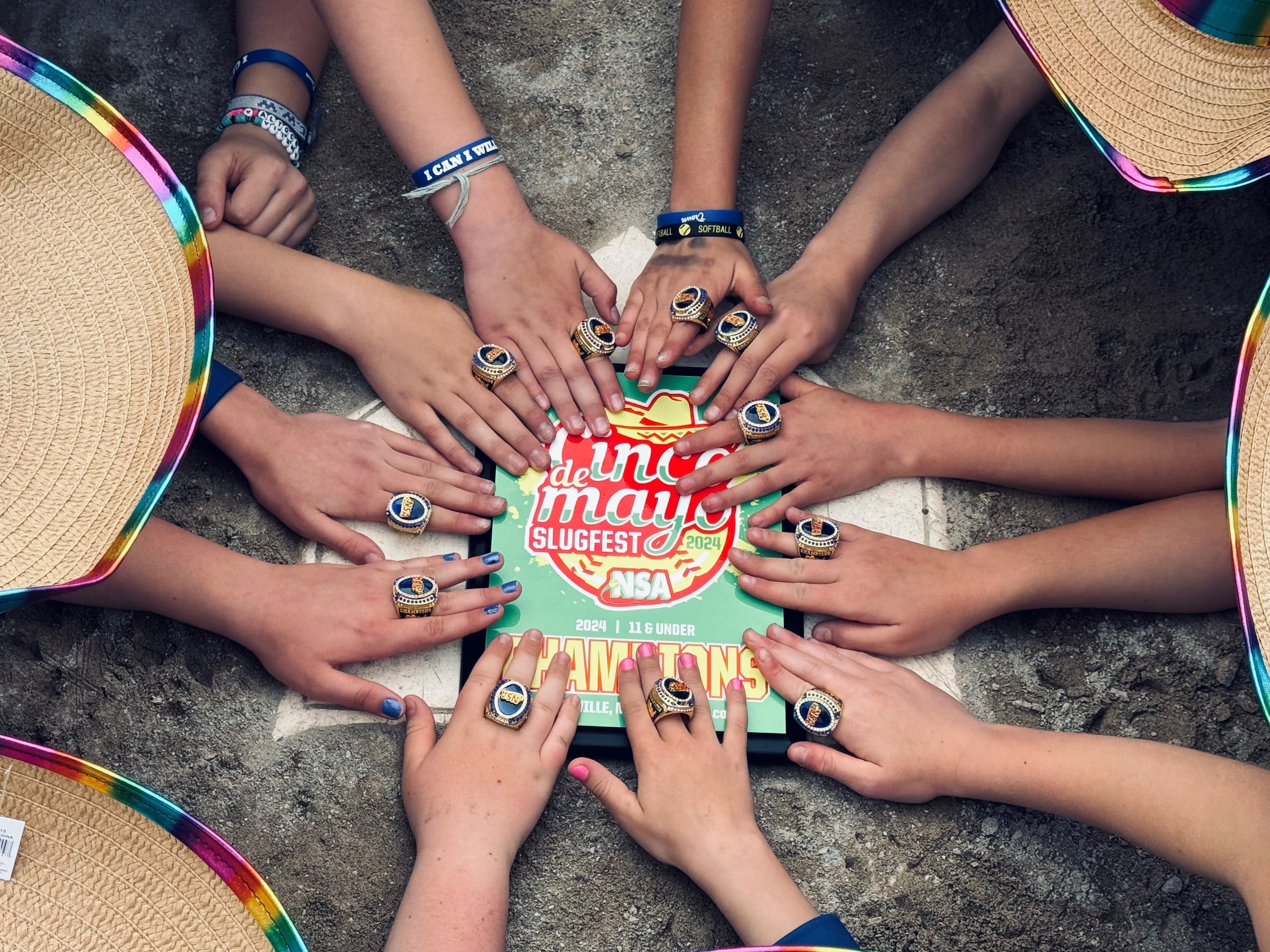 NSA Michigan Fastpitch Tournament Champions