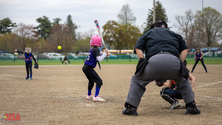 2026 NSA Fastpitch Fever Michigan Fastpitch Tournament (Davison)