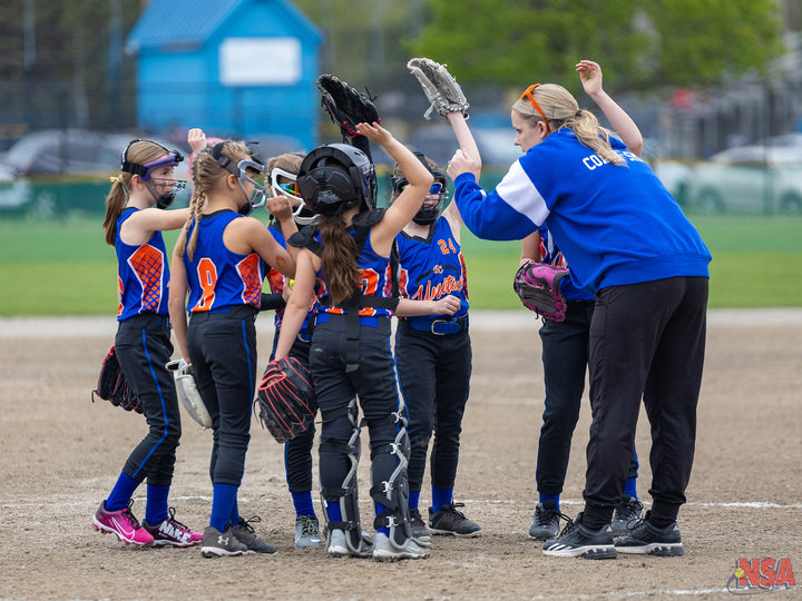 2026 NSA Fastpitch Fever Michigan Fastpitch Tournament (Davison)