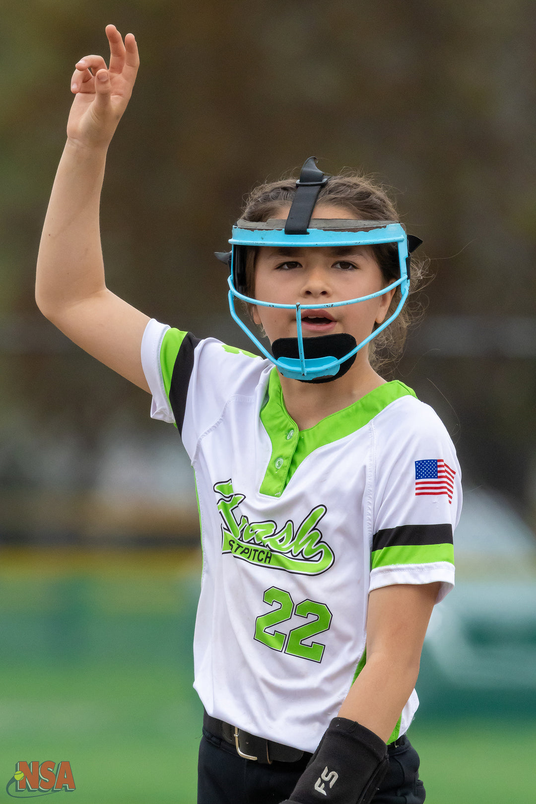 2026 NSA Fastpitch Fever Michigan Fastpitch Tournament (Davison)