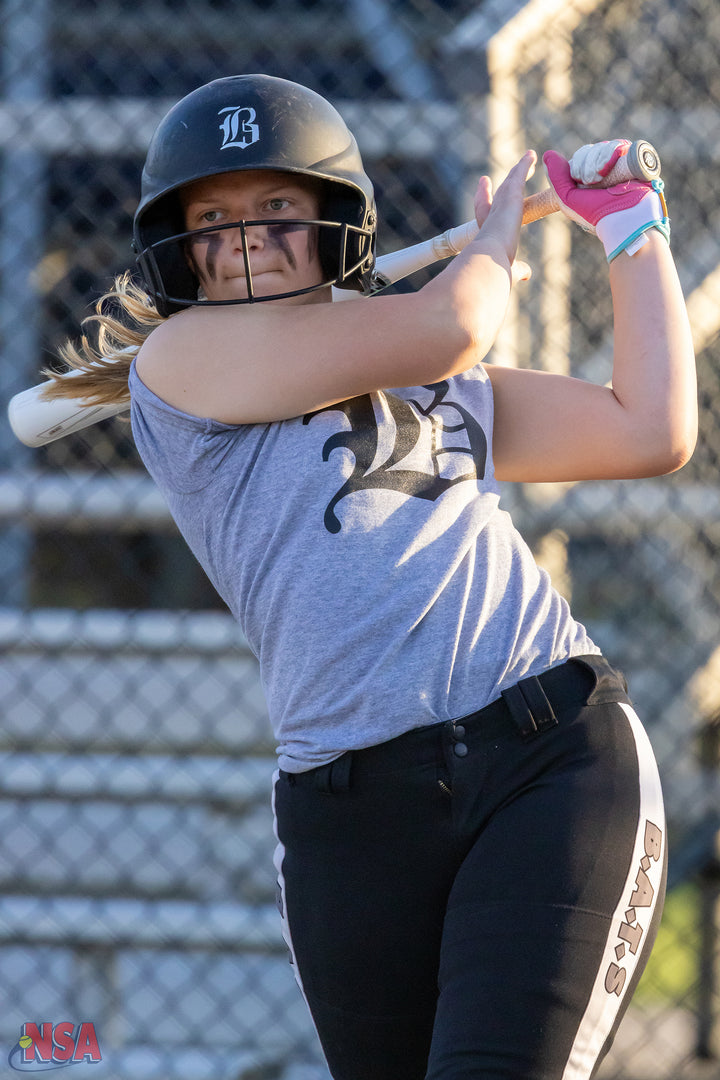 2026 NSA Fastpitch Fever Michigan Fastpitch Tournament (Davison)