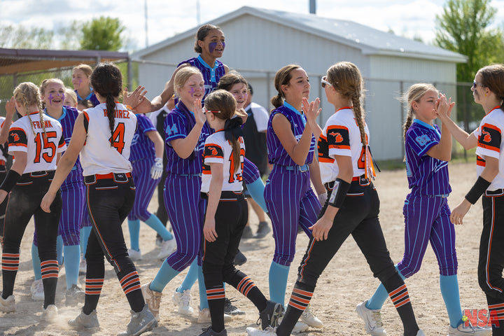 2026 NSA Cinco de Mayo Slugfest Michigan Fastpitch Tournament (Potterville)