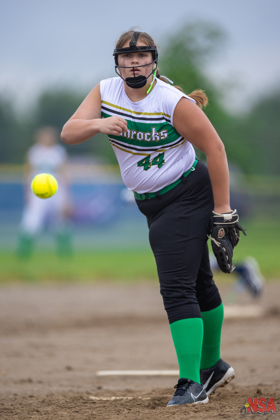 2026 NSA Salute to Service Michigan Fastpitch Tournament (Potterville)