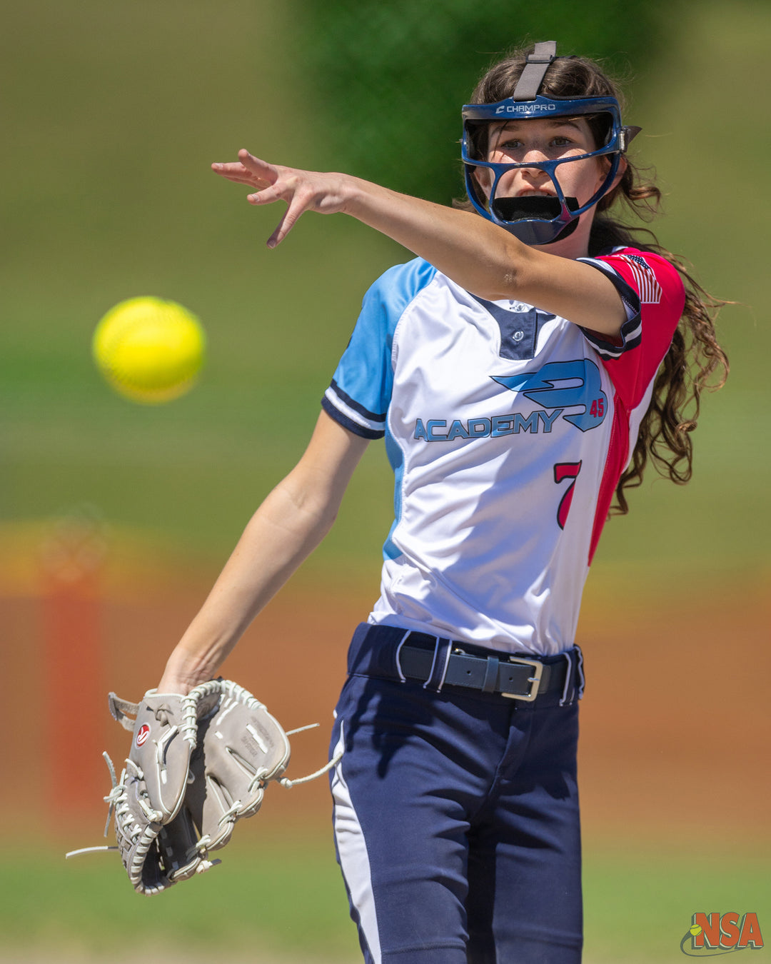 2026 NSA Salute to Service Michigan Fastpitch Tournament (Potterville)