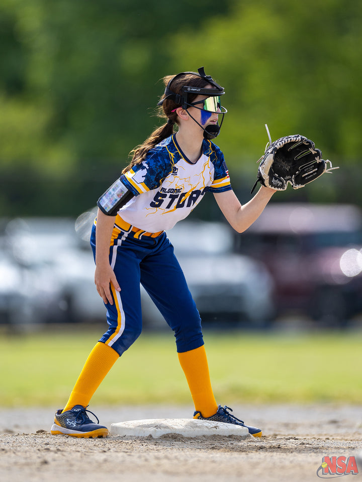 2026 NSA Fastpitch Challenge Michigan Fastpitch Tournament (Potterville)
