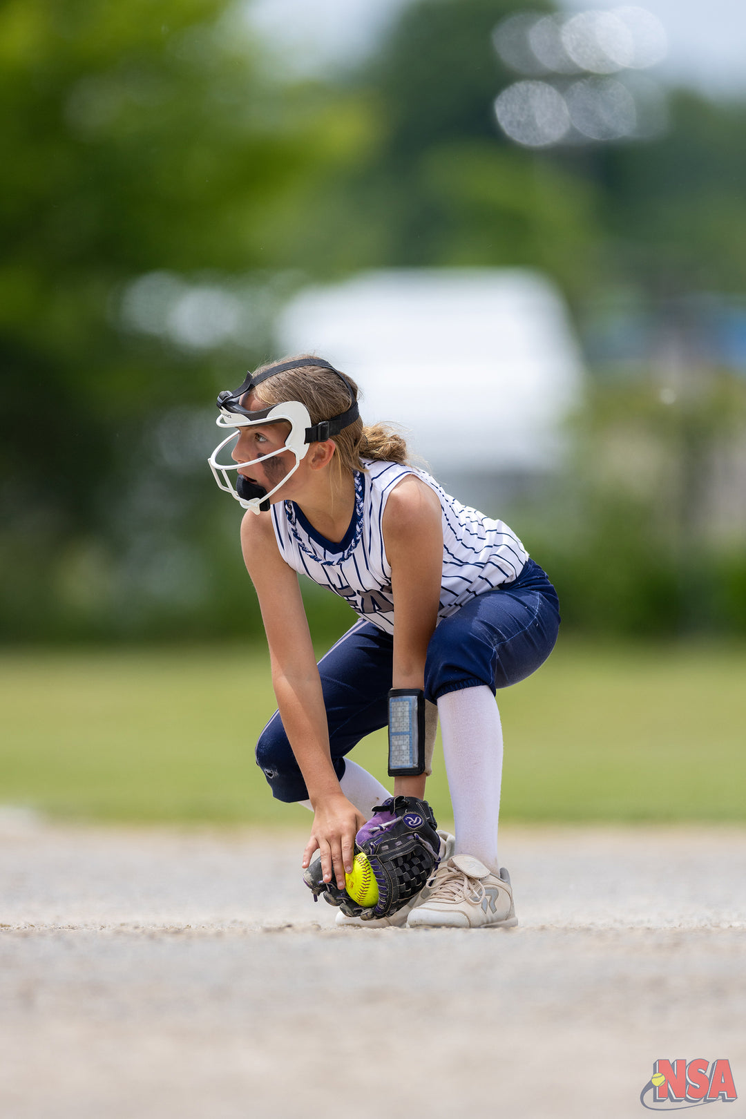 2026 NSA Fastpitch Challenge Michigan Fastpitch Tournament (Potterville)