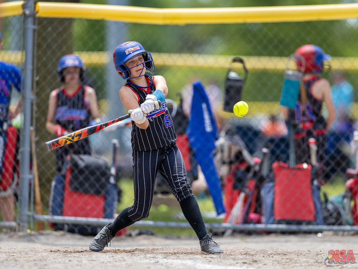 2026 NSA Fastpitch Challenge Michigan Fastpitch Tournament (Potterville)