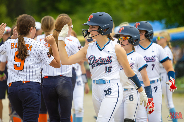 2026 NSA Fastpitch Challenge Michigan Fastpitch Tournament (Potterville)
