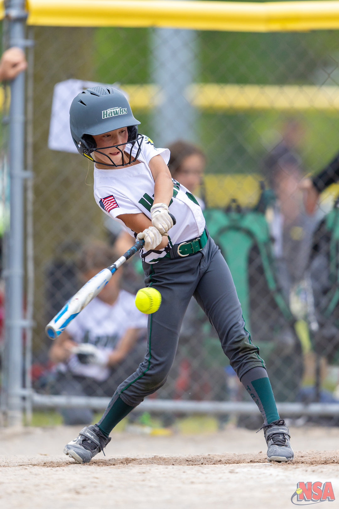 2026 NSA Fastpitch Challenge Michigan Fastpitch Tournament (Potterville)