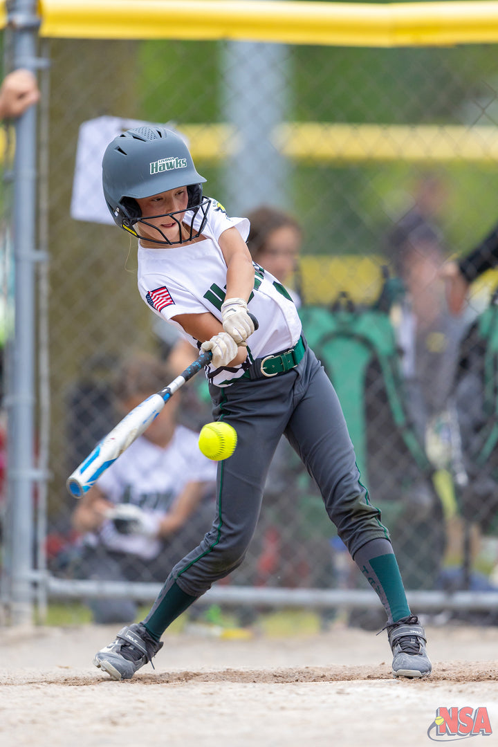 2026 NSA Fastpitch Challenge Michigan Fastpitch Tournament (Potterville)