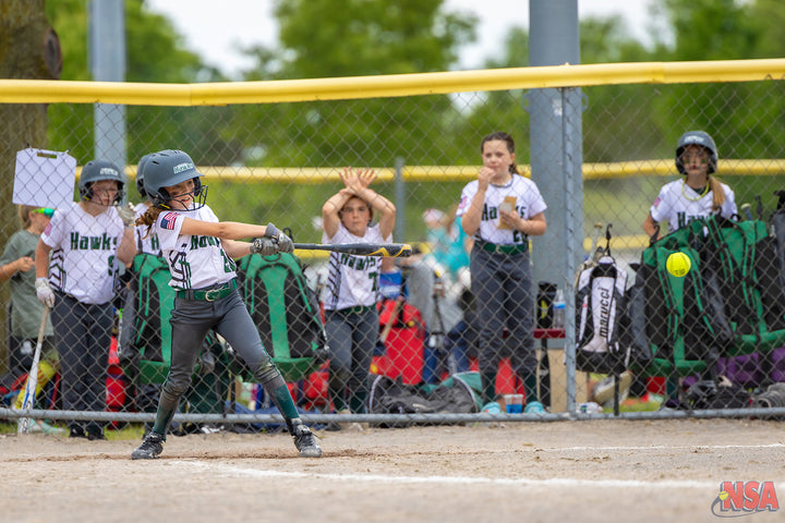 2026 NSA Fastpitch Challenge Michigan Fastpitch Tournament (Potterville)