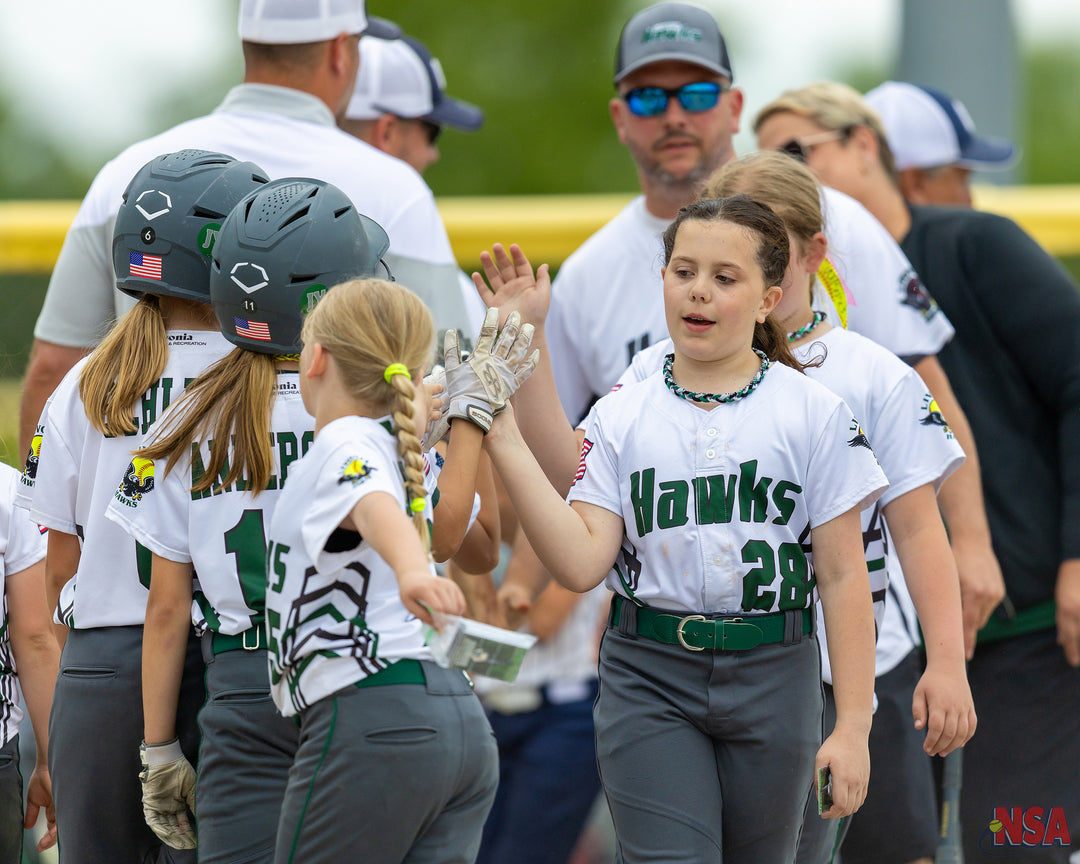 2026 NSA Fastpitch Challenge Michigan Fastpitch Tournament (Potterville)
