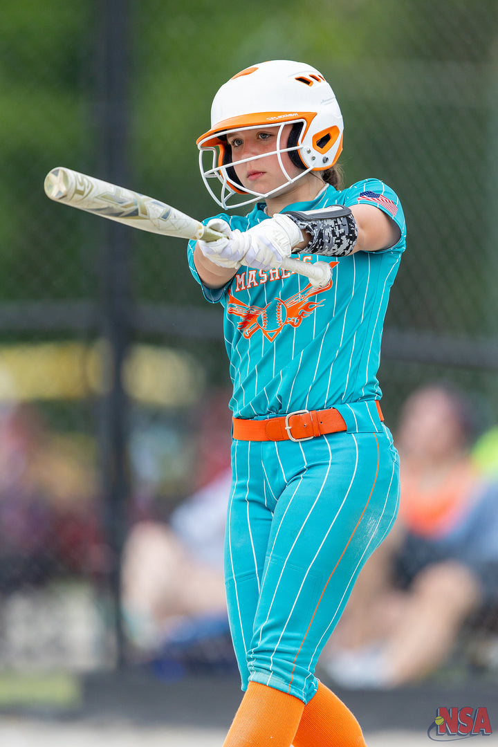 2026 NSA Fastpitch Challenge Michigan Fastpitch Tournament (Potterville)