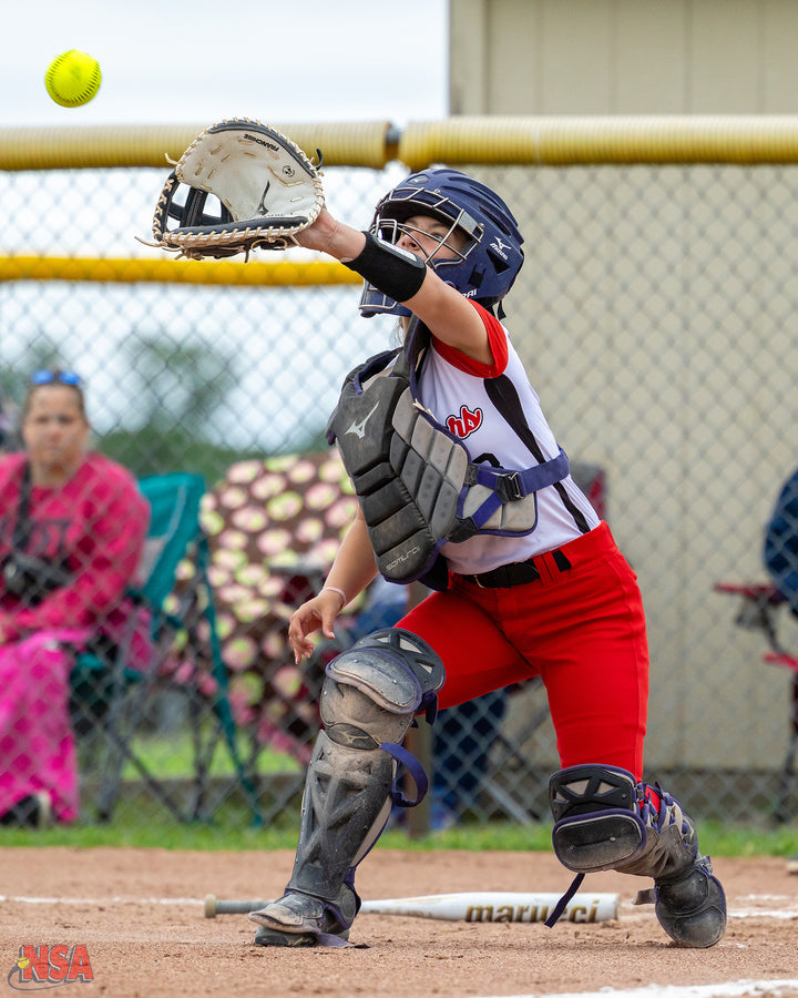 2026 NSA Can Am Games B/C Michigan Fastpitch Tournament (Port Huron)