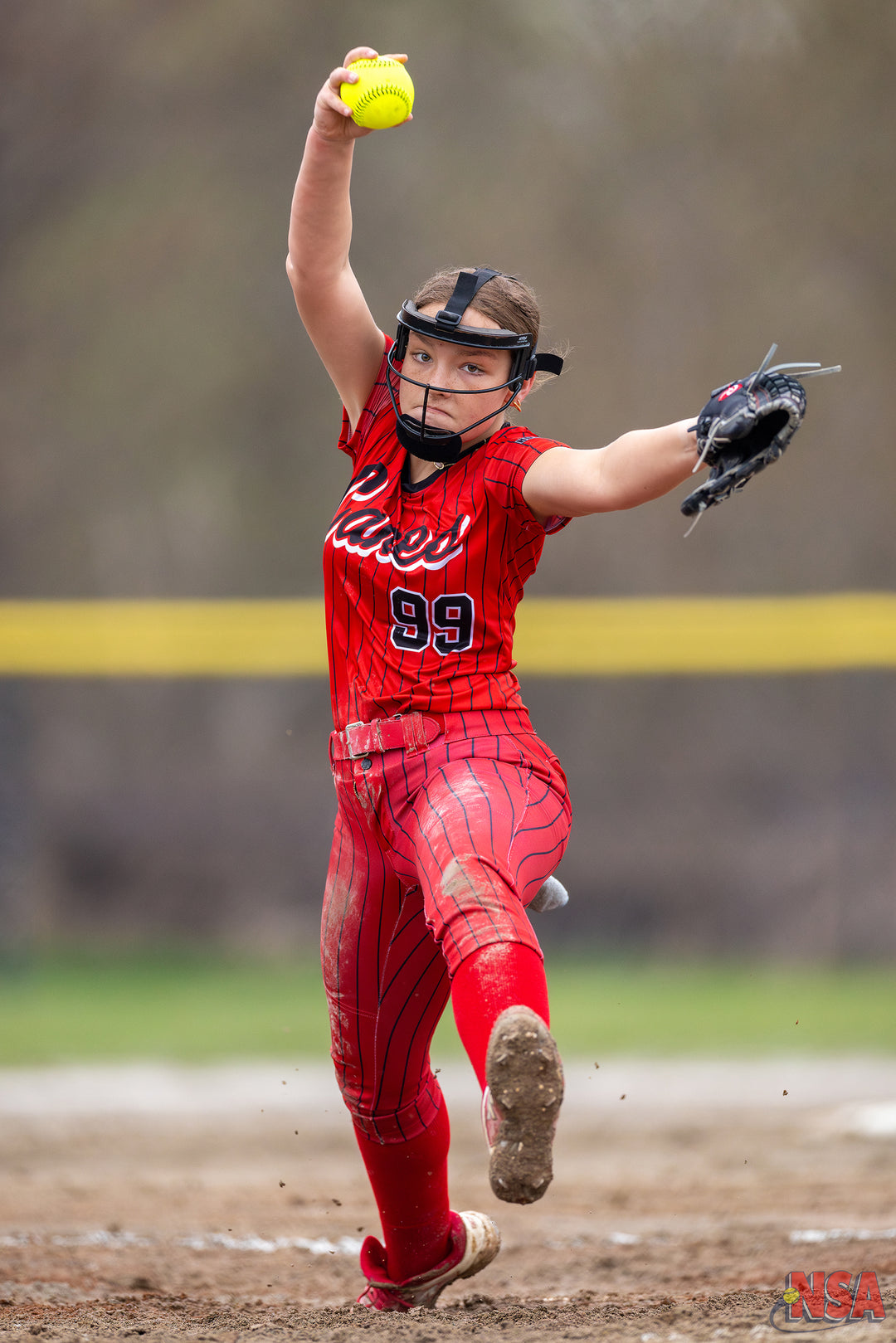 2026 NSA Early Bird Bash Michigan Fastpitch Tournament (Davison)
