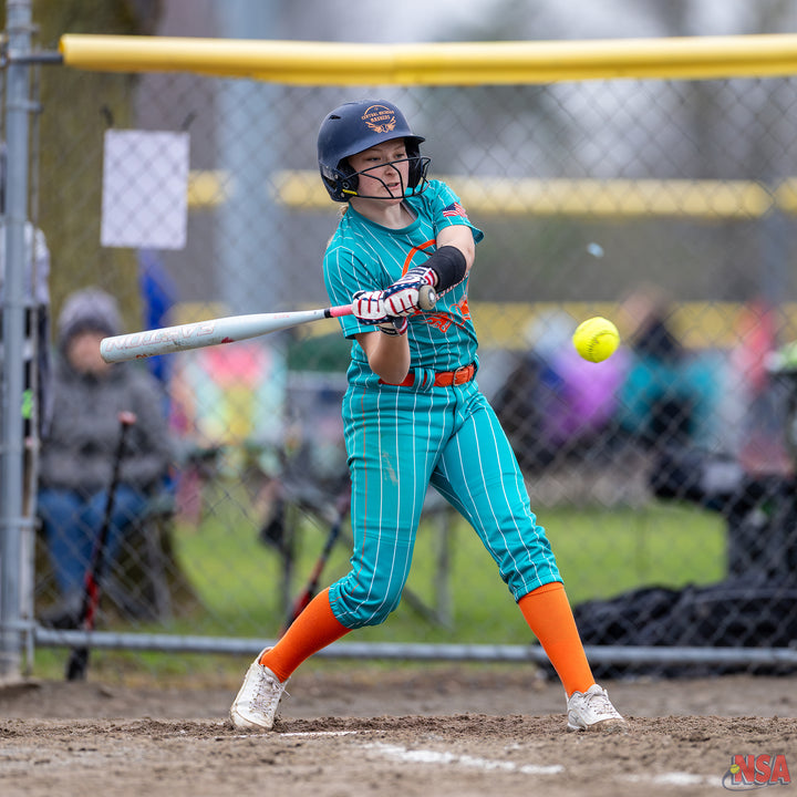 2026 NSA Early Bird Bash Michigan Fastpitch Tournament (Davison)