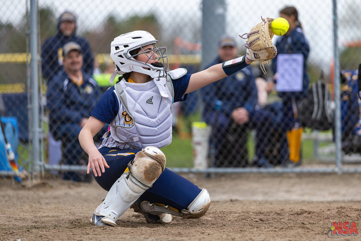 2026 NSA Early Bird Bash Michigan Fastpitch Tournament (Davison)