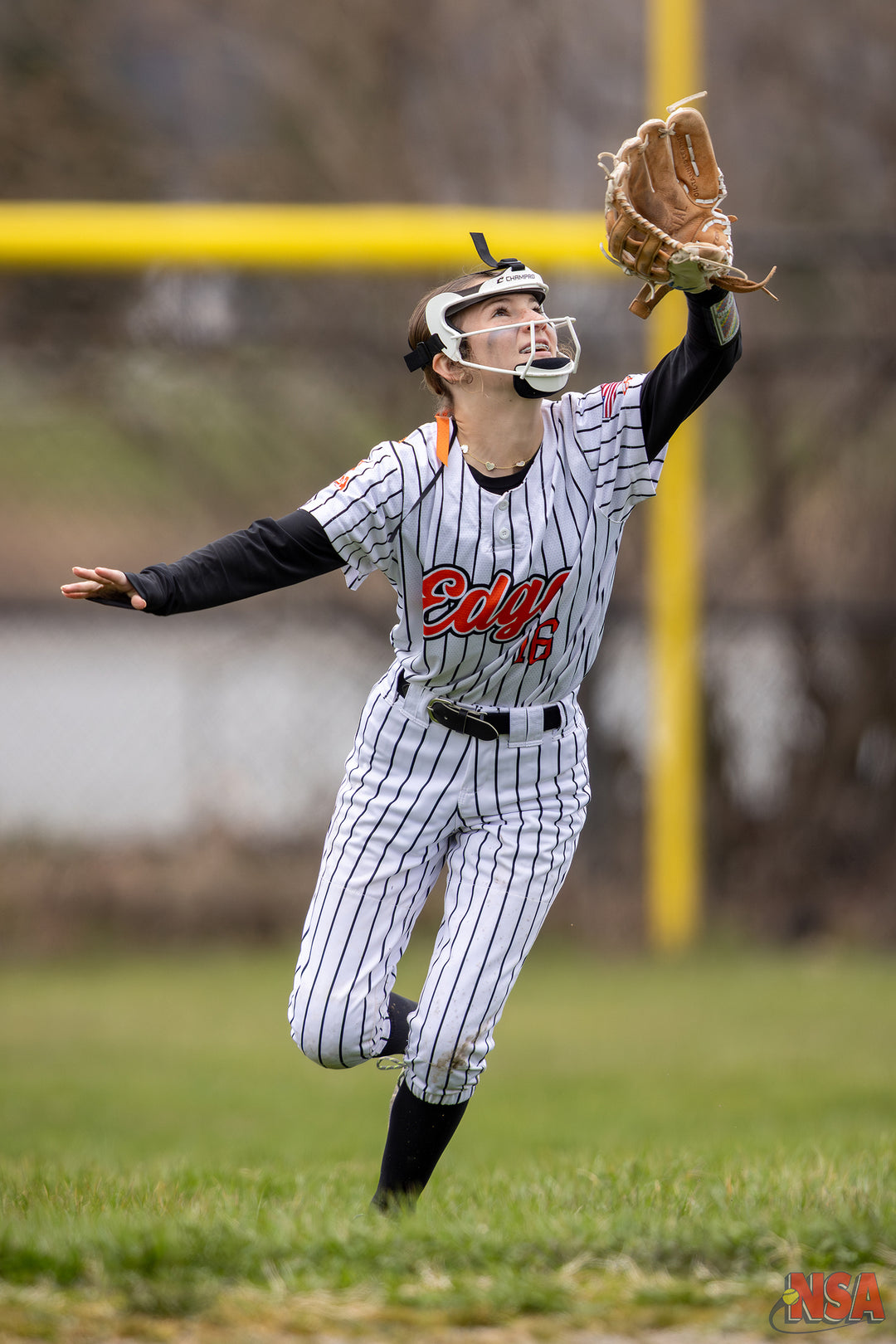 2026 NSA Early Bird Bash Michigan Fastpitch Tournament (Davison)