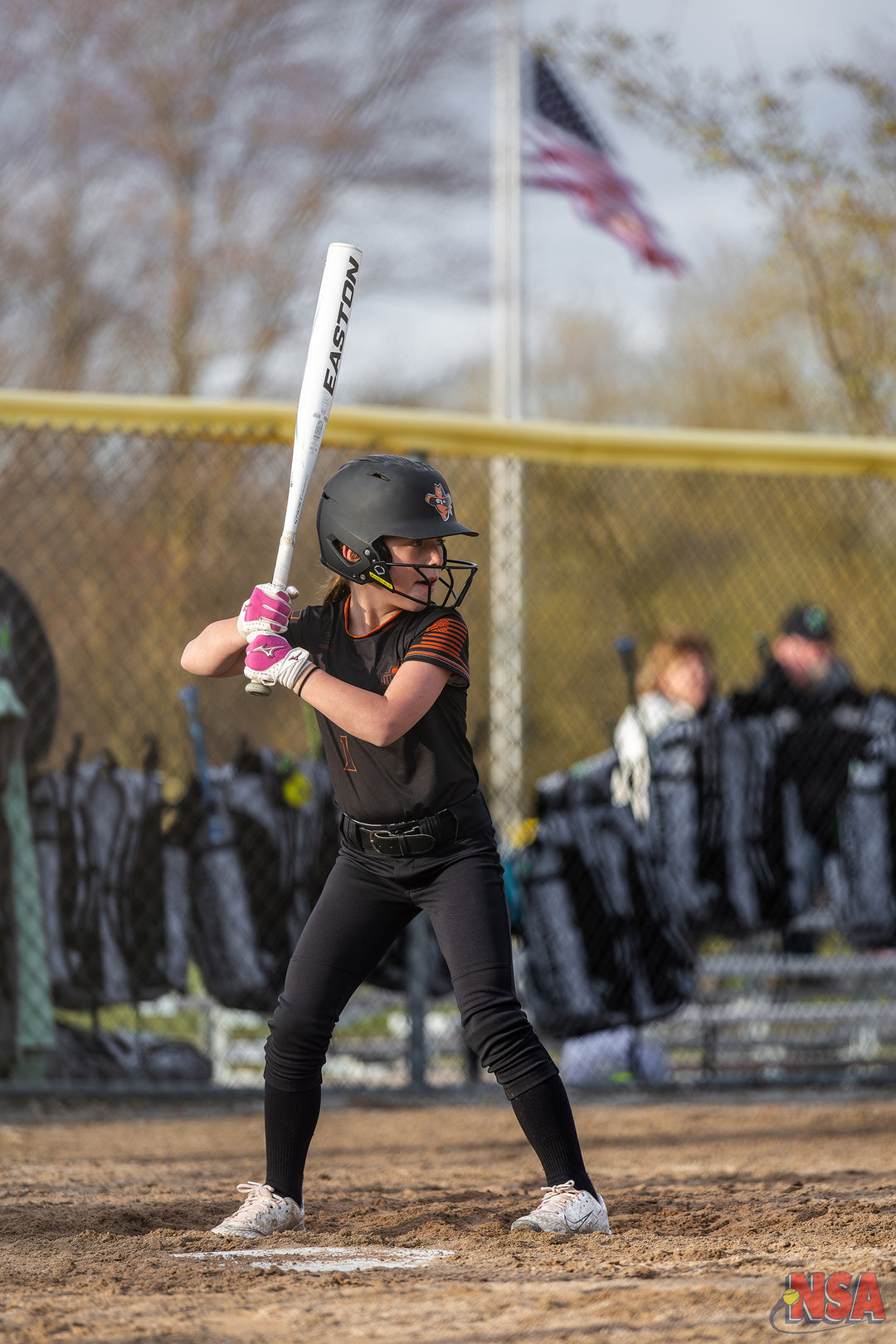 2026 NSA Early Bird Bash Michigan Fastpitch Tournament (Davison)