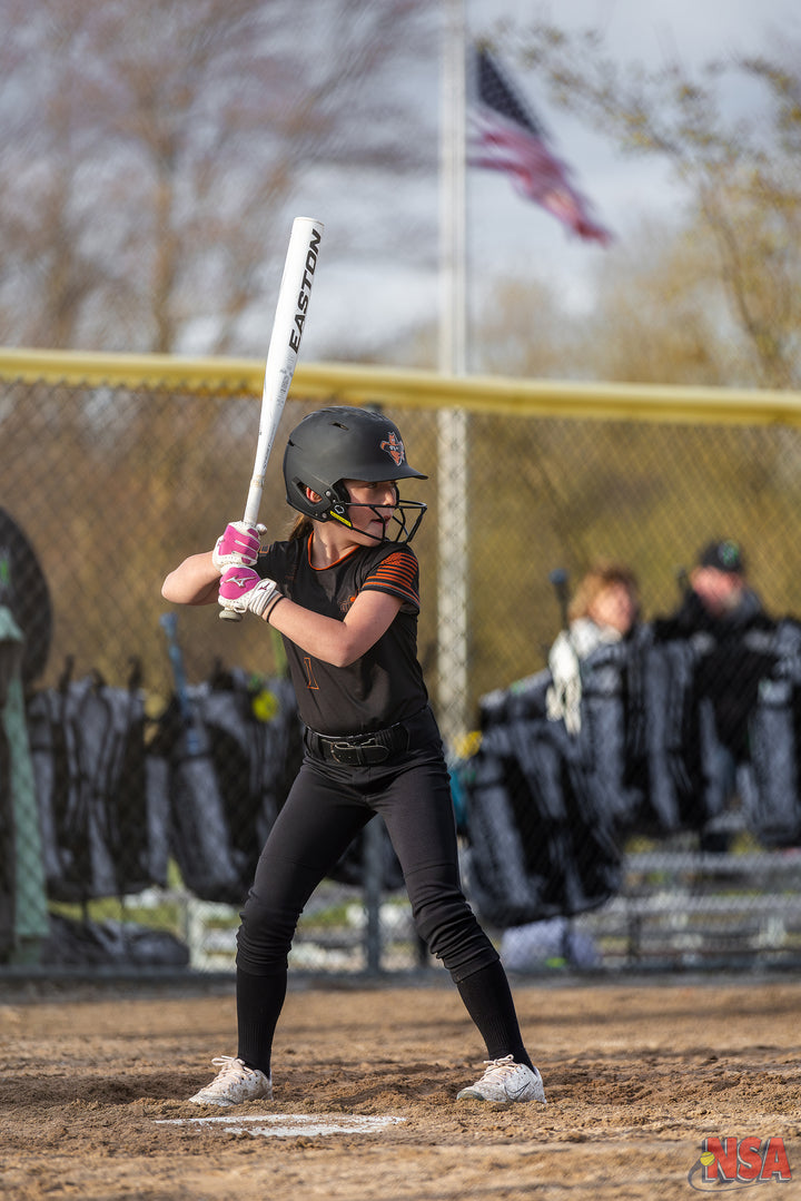 2026 NSA Early Bird Bash Michigan Fastpitch Tournament (Davison)