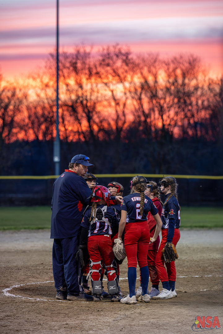 2026 NSA Early Bird Bash Michigan Fastpitch Tournament (Davison)