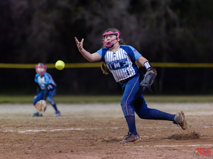 2026 NSA Early Bird Bash Michigan Fastpitch Tournament (Davison)