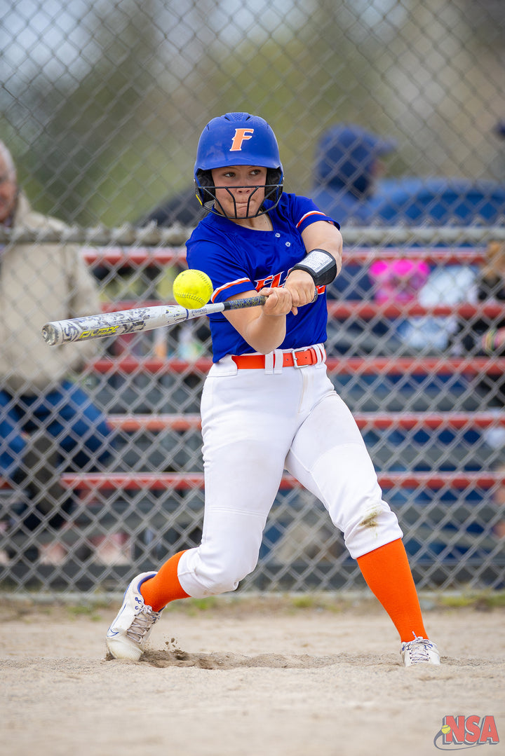 2026 NSA Cinco de Mayo Slugfest Michigan Fastpitch Tournament (Potterville)