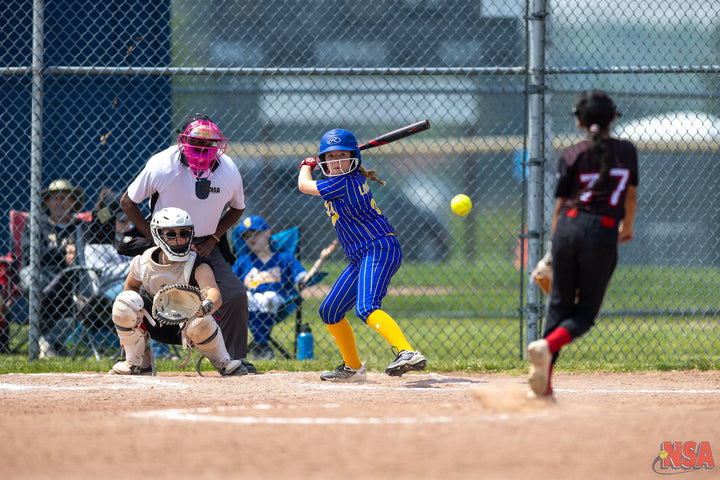 2026 NSA Blue Water Bash Michigan Fastpitch Tournament (Port Huron)
