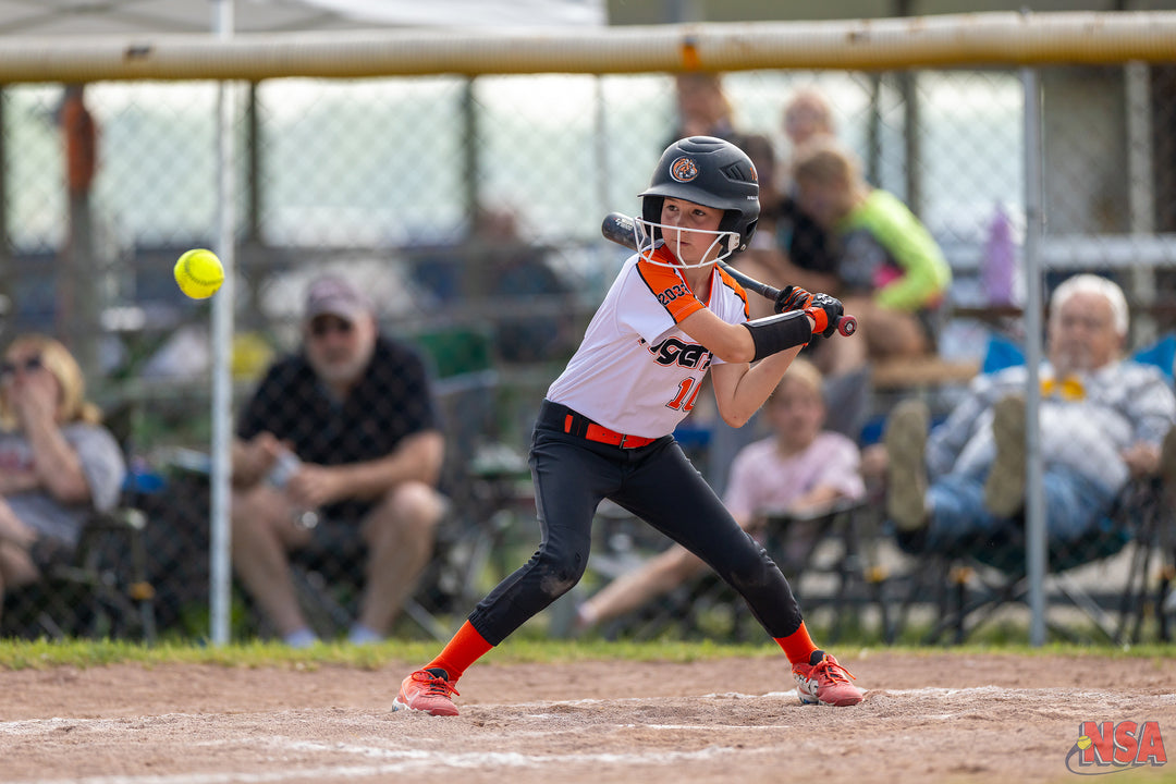 2026 NSA Blue Water Bash Michigan Fastpitch Tournament (Port Huron)