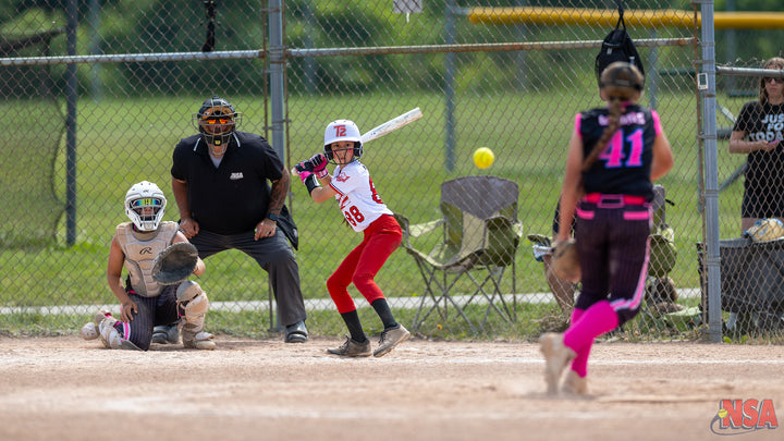 2026 NSA Summer Sizzle Michigan Fastpitch Tournament (Potterville)