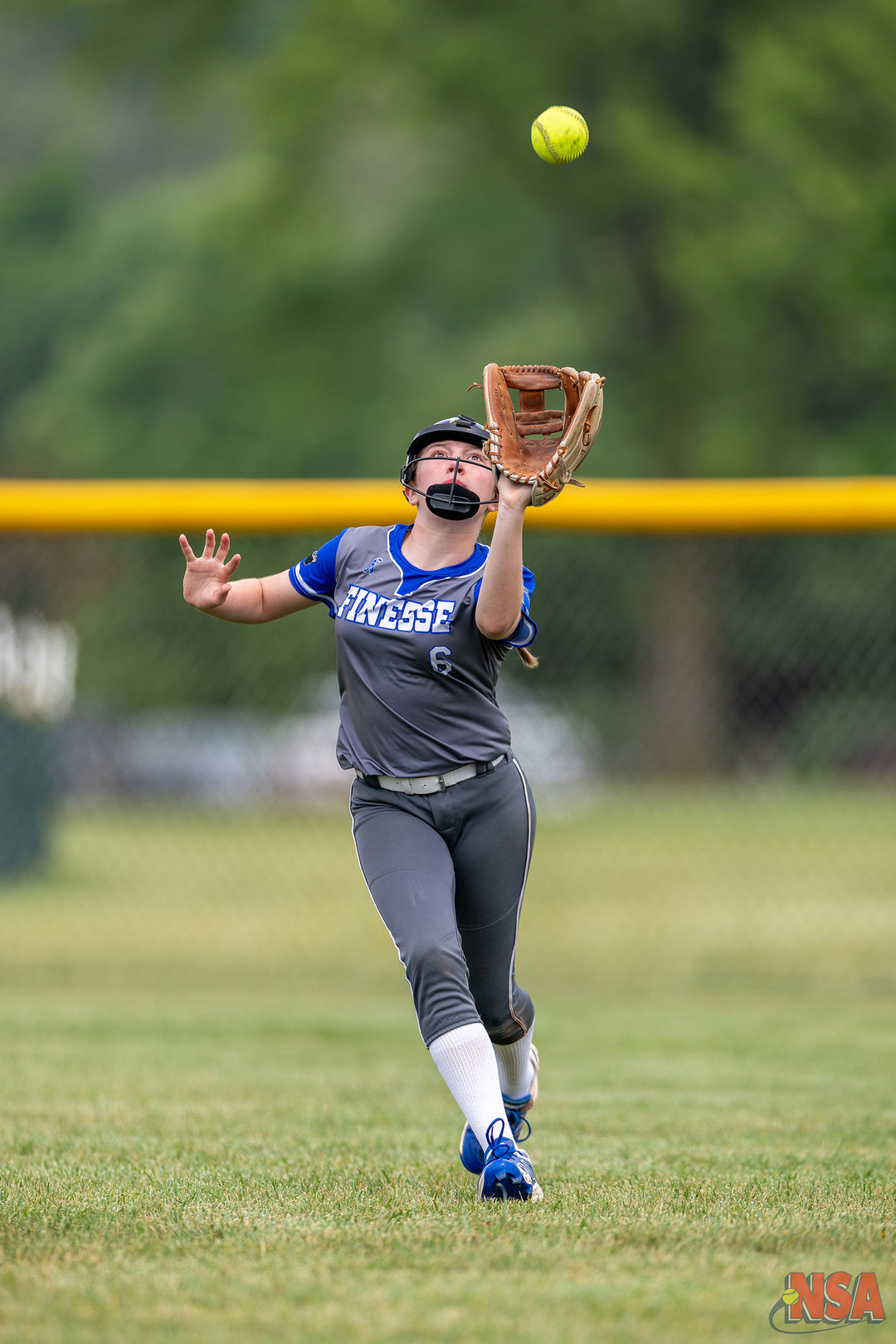 2026 NSA Michigan "B" & "Open" State Championships Fastpitch Tournament