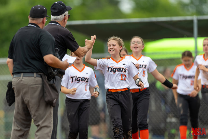 2026 NSA Michigan "B" & "Open" State Championships Fastpitch Tournament