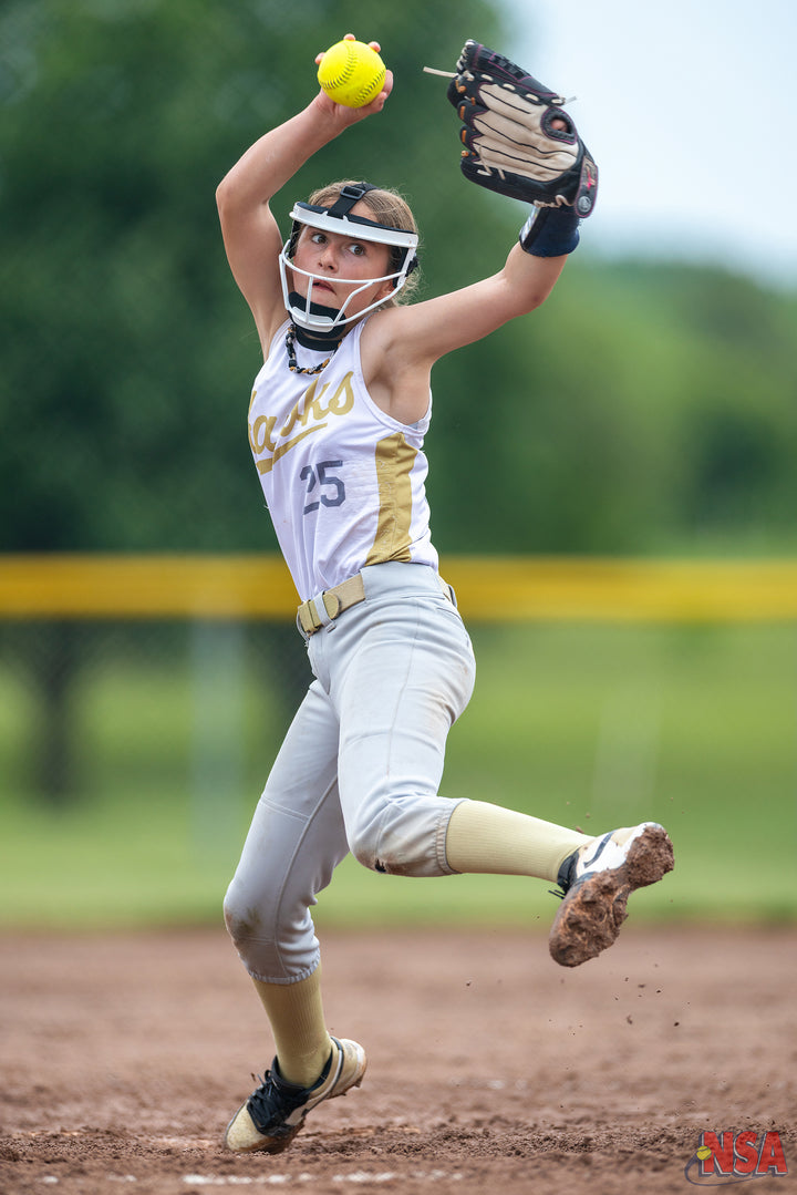 2026 NSA Michigan "B" & "Open" State Championships Fastpitch Tournament