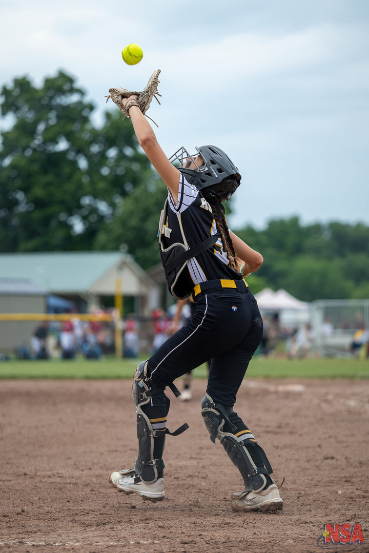 2026 NSA Michigan "B" & "Open" State Championships Fastpitch Tournament