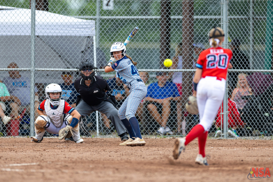 2026 NSA Michigan "B" & "Open" State Championships Fastpitch Tournament
