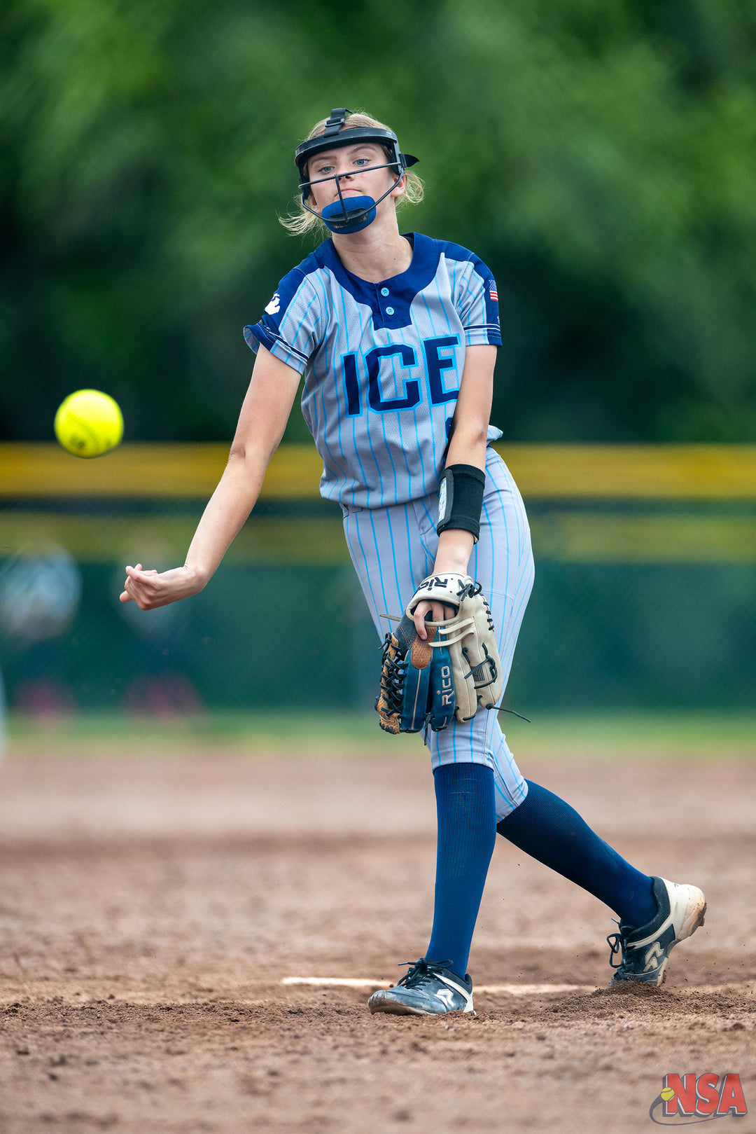 2026 NSA Michigan "B" & "Open" State Championships Fastpitch Tournament