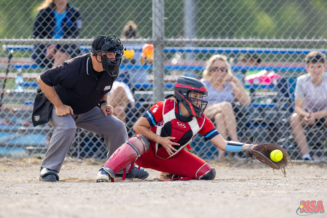 2026 NSA Michigan "B" & "Open" State Championships Fastpitch Tournament