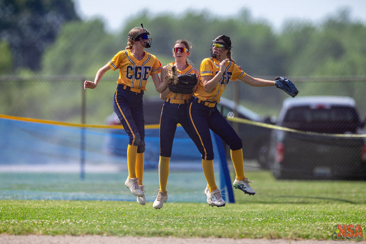 2026 NSA Michigan "B" & "Open" State Championships Fastpitch Tournament