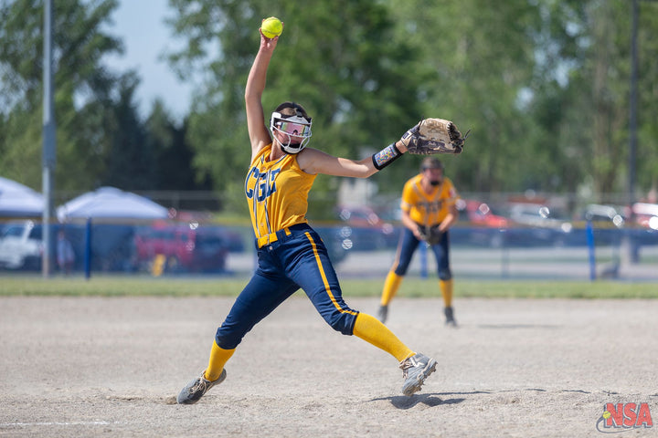 2026 NSA Michigan "B" & "Open" State Championships Fastpitch Tournament