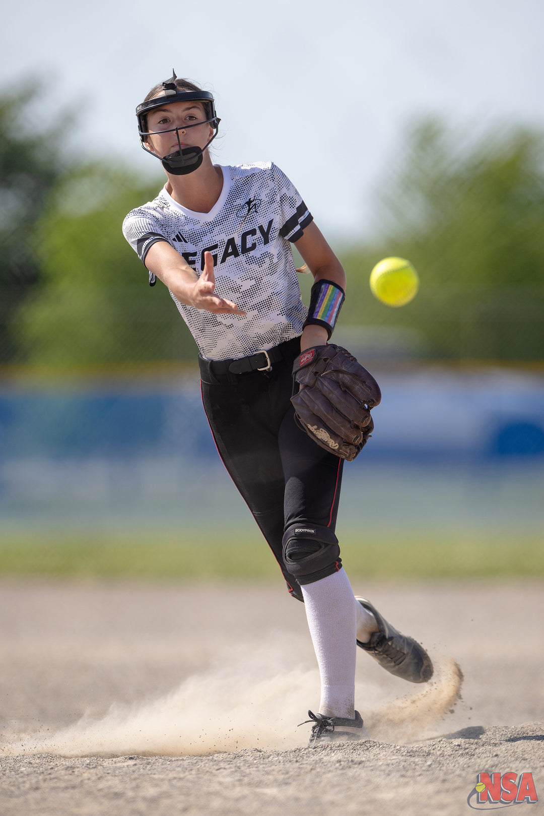 2026 NSA Michigan "B" & "Open" State Championships Fastpitch Tournament