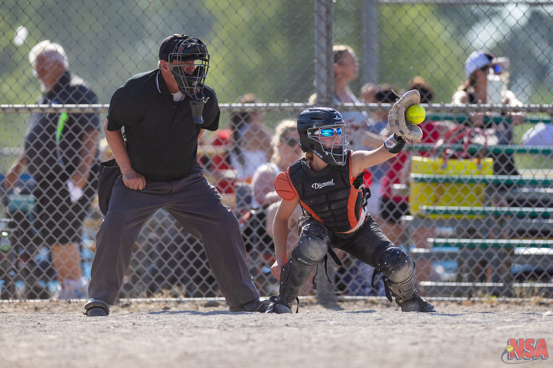 2026 NSA Michigan "B" & "Open" State Championships Fastpitch Tournament