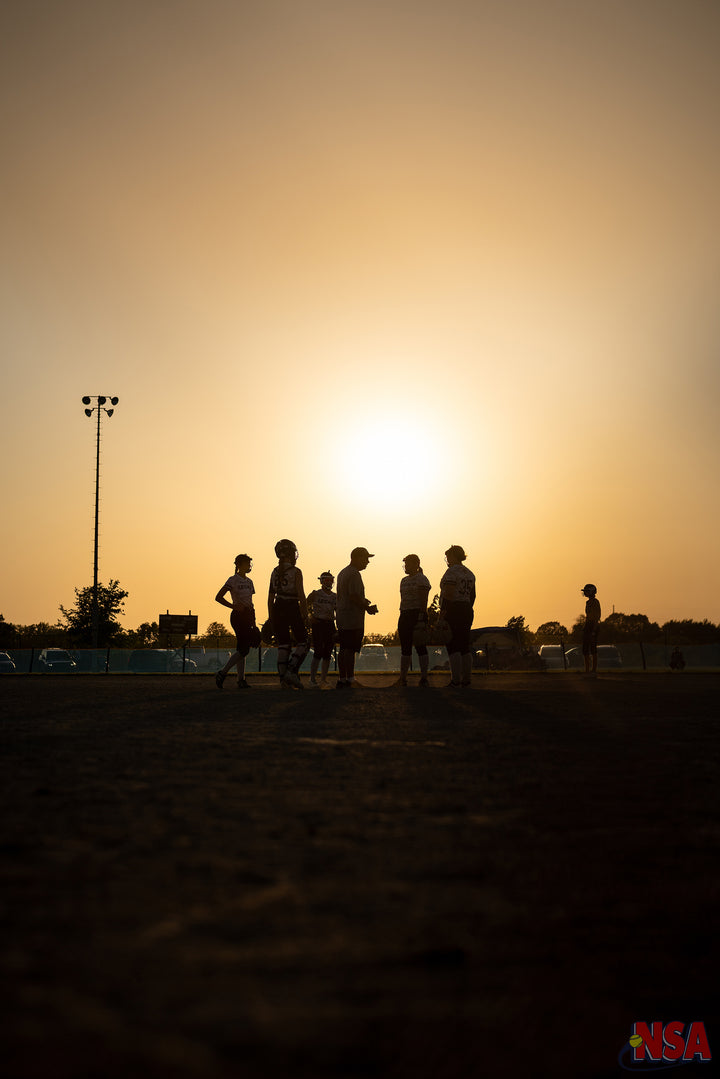 2026 NSA Michigan "B" & "Open" State Championships Fastpitch Tournament