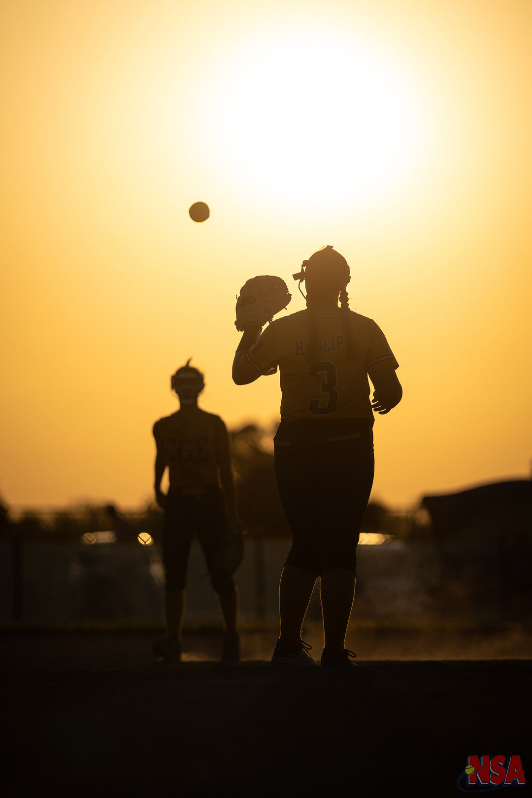 2026 NSA Michigan "B" & "Open" State Championships Fastpitch Tournament