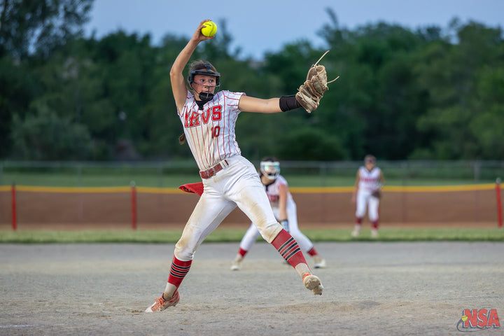 2026 NSA Michigan "B" & "Open" State Championships Fastpitch Tournament