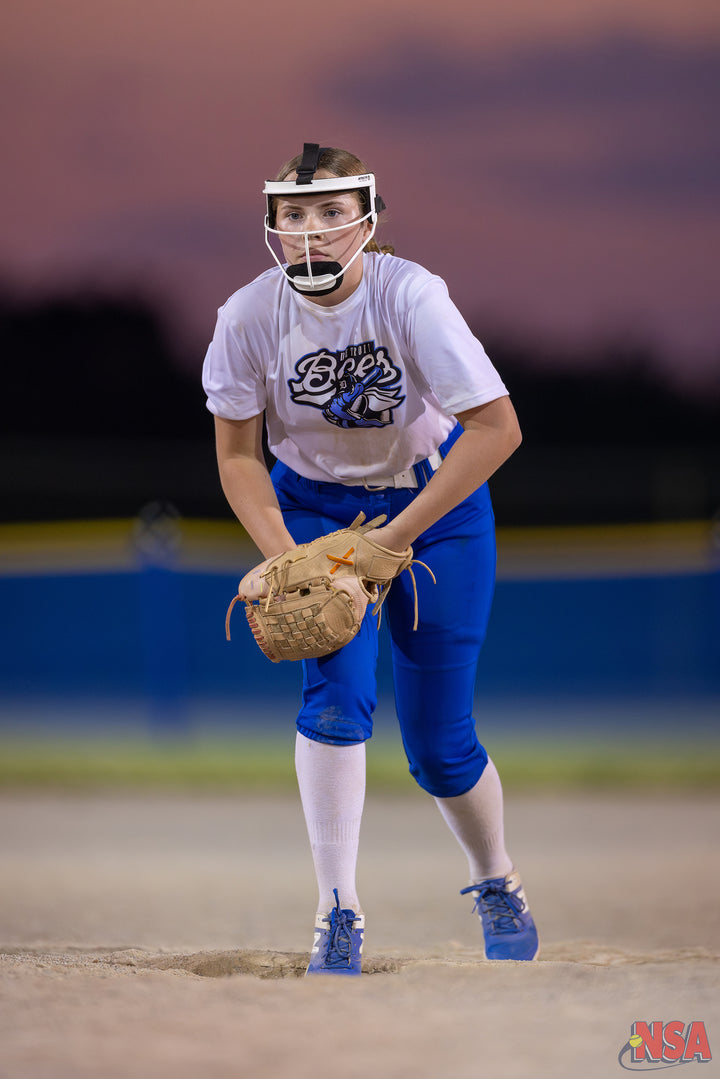 2026 NSA Michigan "B" & "Open" State Championships Fastpitch Tournament