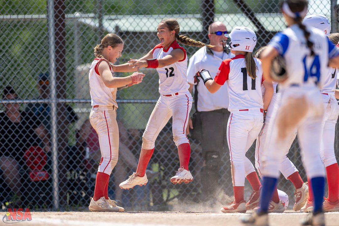 2026 NSA Michigan "B" & "Open" State Championships Fastpitch Tournament