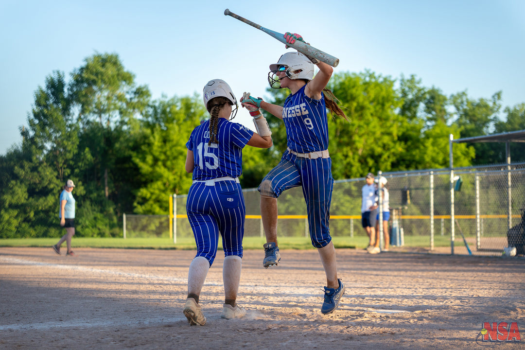 2026 NSA Michigan "B" & "Open" State Championships Fastpitch Tournament