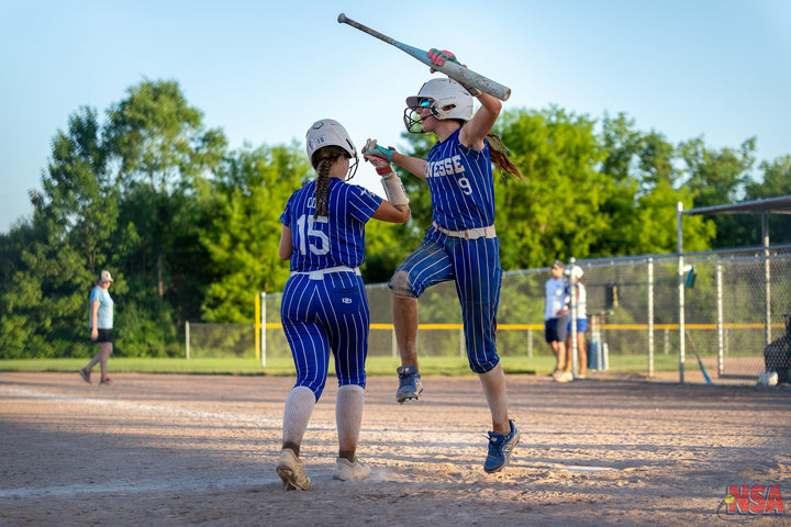 2026 NSA Michigan "B" & "Open" State Championships Fastpitch Tournament