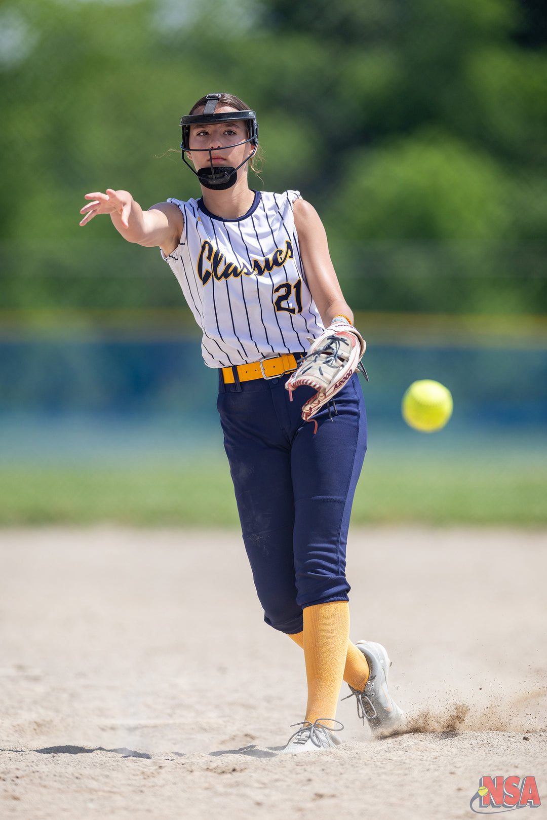 2026 NSA Michigan "C" State Championships Fastpitch Tournament