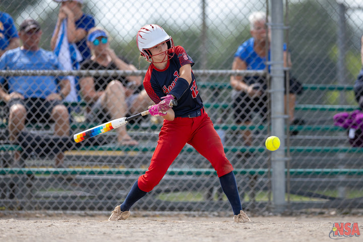 2026 NSA Michigan Classic Michigan Fastpitch Tournament (Potterville)